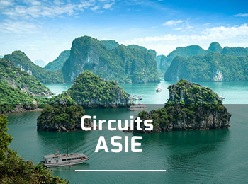 Circuits en Asie