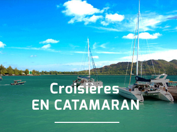 Croisires en Catamaran dans les les !